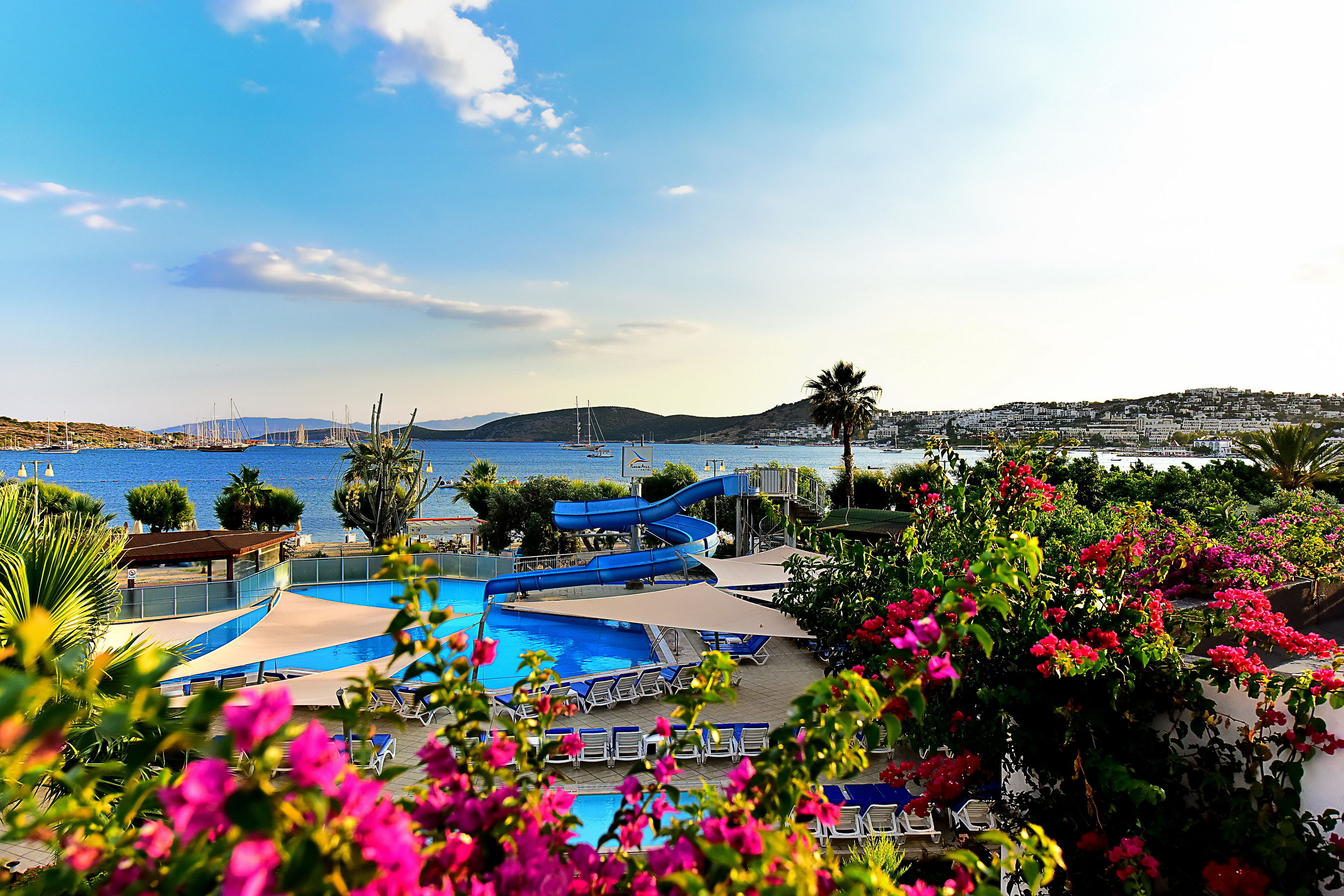 Hotel Image 4